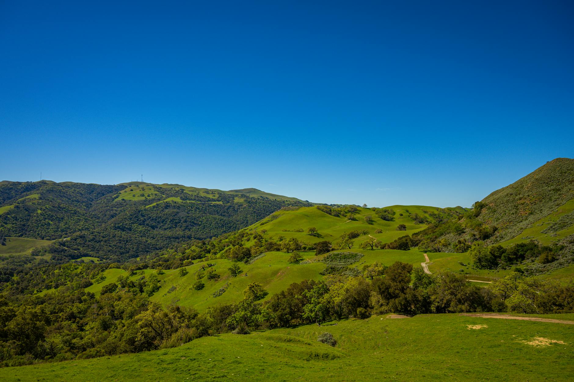 California landscape